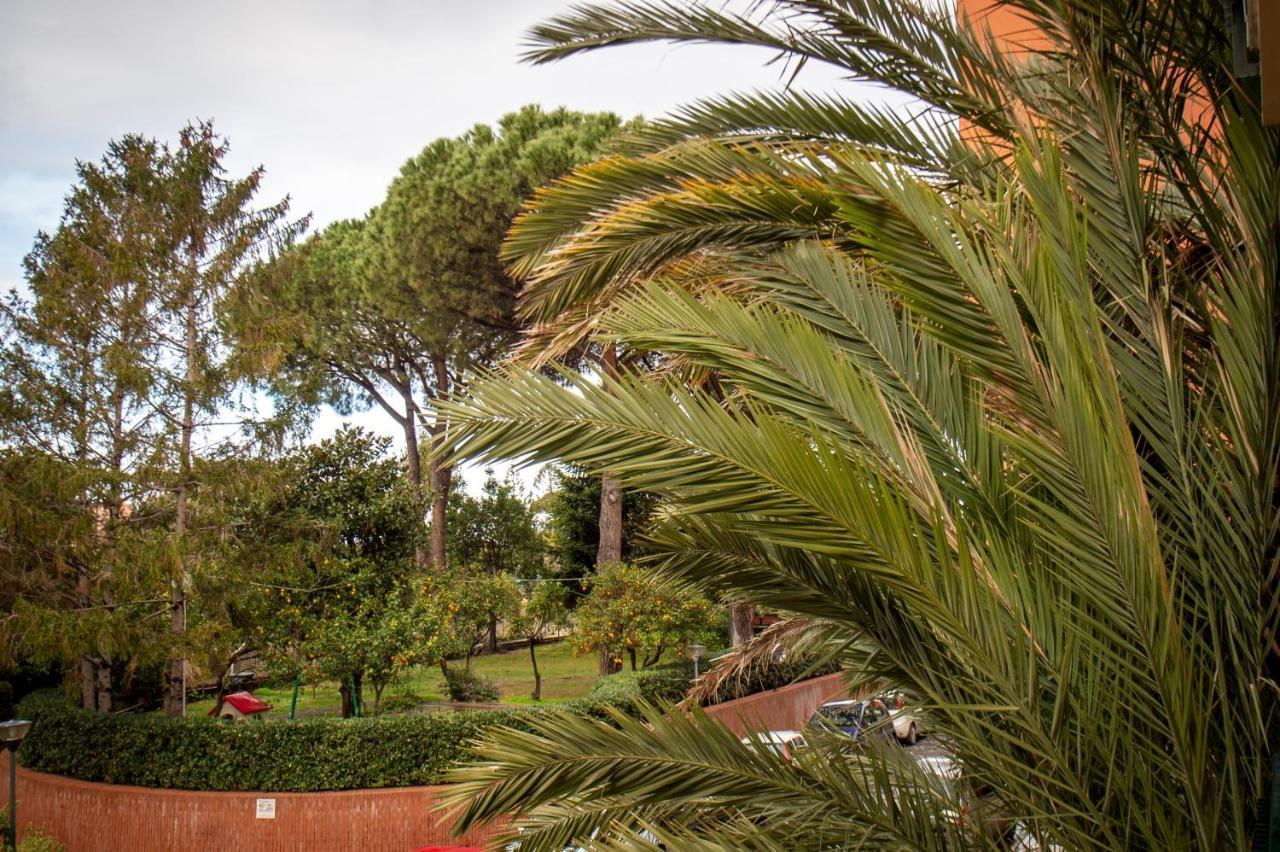 Lauro Charme B&B Di Rosanova Rosa Sorrento Exteriör bild